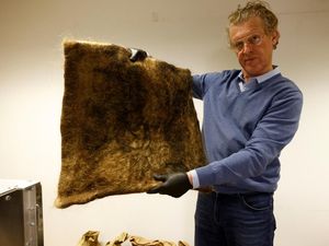 Perusahaan di Belgia Sulap Rambut Manusia Jadi Ubin Penyaring Polusi