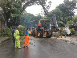 Pohon di Halaman Rumah Pengusaha Aksa Mahmud Tumbang, 2 Mobil Tertimpa