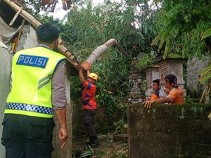 Hujan Deras di Karangasem, Pohon Timpa Rumah-Penyengker Pura Jebol Hujan Deras di Karangasem, Pohon Timpa Rumah-Penyengker Pura Jebol