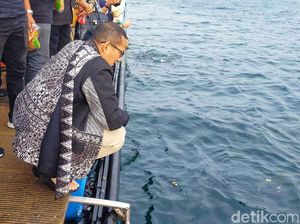 Sandiaga Beri Makan Ikan Pakai Roti di Bangsring Underwater Banyuwangi