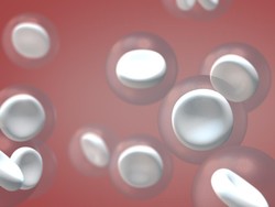 Limfosit Adalah: Definisi, Jenis, dan Rentang