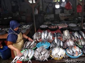 Serbu Ikan dan Aneka Seafood Sebelum Harga Naik Jelang Tahun Baru Serbu Ikan dan Aneka Seafood Sebelum Harga Naik Jelang Tahun Baru