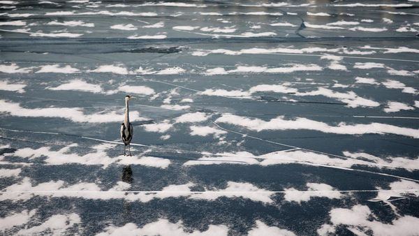 Potret Sungai Han Korea Selatan yang Membeku