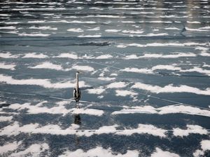 Potret Sungai Han Korea Selatan yang Membeku