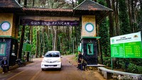 5 Wisata Alam Lebih Sepi dari Puncak-Wisata Baru di Jakarta Bergaya Eropa