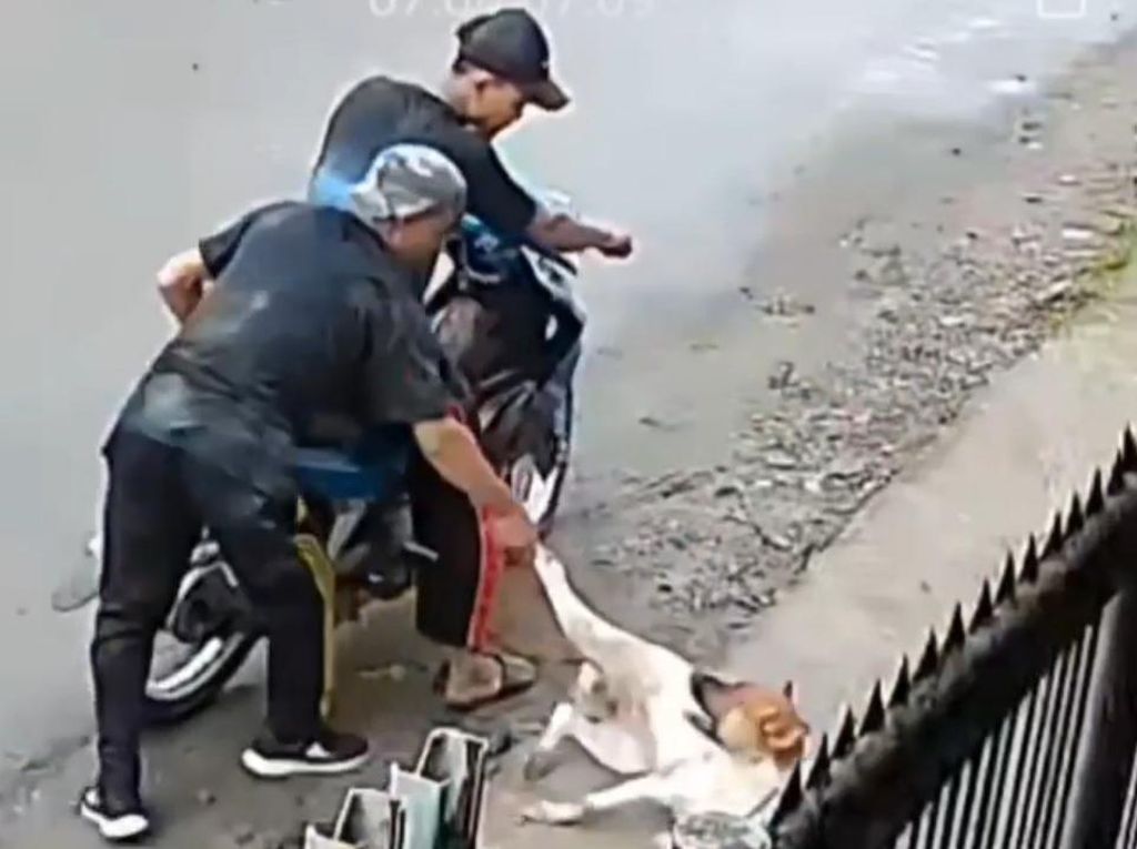 Polisi Selidiki Kasus Heboh Pencurian Anjing dengan Diracun di Medan
