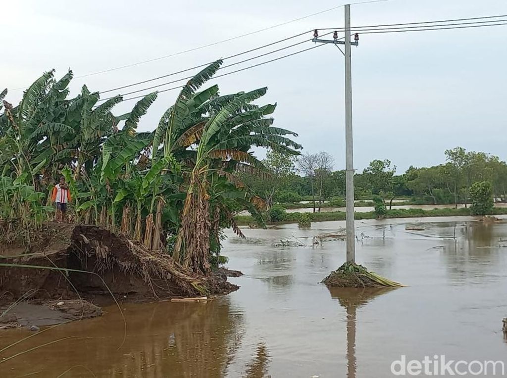 Puluhan Hektare Tambak Bandeng Kota Pasuruan Kebanjiran, Petambak Gagal Panen Puluhan Hektare Tambak Bandeng Kota Pasuruan Kebanjiran, Petambak Gagal Panen