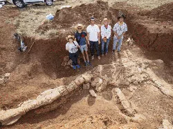 Bikin Takjub! Ini Potret Deretan Fosil yang Ditemukan di Tahun 2022