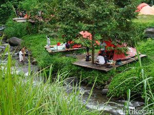 Healing Low Budget Akhir Tahun, Yuk Camping di Gubug Marawati Mojokerto