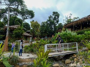 Nuansa Makan Bergaya Rimba di KM 0 Sentul Nuansa Makan Bergaya Rimba di KM 0 Sentul