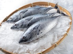 Manfaat Rutin Makan Ikan 150 Gram/Hari, Cegah Stunting-Jantung Koroner