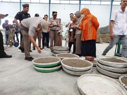 Tahun 2022, Ekspor Perkebunan Sumut Tembus Rp 26 Triliun