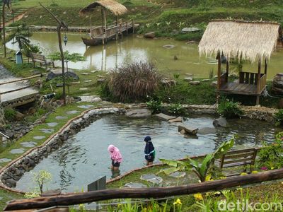 Ngopi Cantik Suasana Asyik di Kafe Bertema Pedesaan Sentul