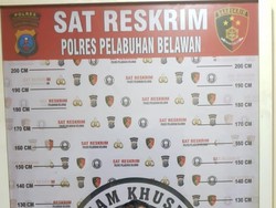 Ini Tampang Pencuri Besi Jembatan Sicanang yang Diresmikan Bobby Nasution