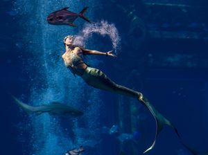 Mengenal Makhluk Mitologi Yunani dan Indonesia dari Zaman Kuno