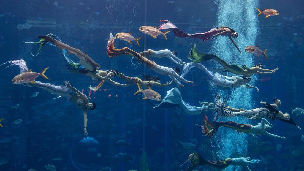 Putri Duyung di China Saling Pamer Tarian Terindah Putri Duyung di China Saling Pamer Tarian Terindah