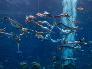 Putri Duyung di China Saling Pamer Tarian Terindah