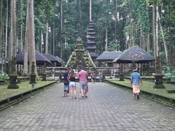 Kunjungan Wisatawan ke Alas Pala Sangeh Meningkat Dua Kali Lipat