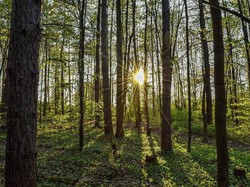 Awal Mula 14 Anggota Klub Motor Hilang di Hutan Banjalaweh