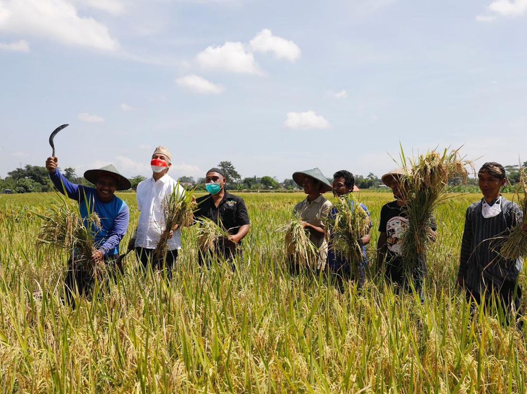 Ganjar Dorong Beras Premium Jateng Hadir di Tingkat Nasional Ganjar Dorong Beras Premium Jateng Hadir di Tingkat Nasional