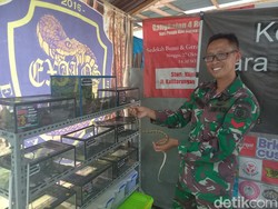 Mengenal Exalos Indonesia, Komunitas Penyelamat Ular hingga Tawon