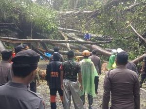 Polisi Berlakukan Buka Tutup Jalan Poros Maros-Bone di Hutan Karaengta