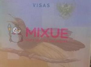 Paspor Kosong Tak Dipakai Melancong, Hati-hati Diincar Mixue