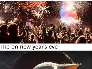 Kumpulan Meme Lucu Sambut Malam Tahun Baru 2025, Bye 2024 Kumpulan Meme Lucu Sambut Malam Tahun Baru 2025, Bye 2024
