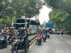 Pohon Tumbang di Singosari Tutup Akses Malang-Surabaya