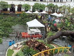Cuaca Ekstrem, Pohon Tua di Lawang Sewu Sampai Tumbang