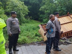 Tanah Longsor-Pohon Tumbang Melanda Buleleng Sepekan Terakhir