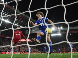 Wout Faes Apes Banget!