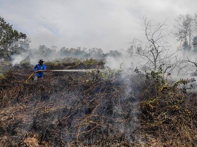 27 Hektare Hutan dan Lahan di Kotawaringin Barat Terbakar