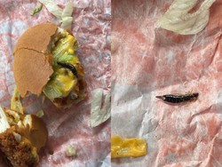 Beli Burger di Resto Populer, Pelanggan Kecewa Usai Temukan Serangga
