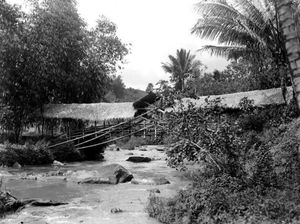 Bambu Sukabumi dan Kisahnya di Masa Lalu Bambu Sukabumi dan Kisahnya di Masa Lalu
