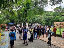 KBS Diserbu Wisatawan Saat Libur Tahun Baru 2023