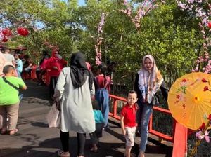 Indahnya Hutan Bakau Bernuansa Jepang yang Instagramable di Batu Bara Indahnya Hutan Bakau Bernuansa Jepang yang Instagramable di Batu Bara