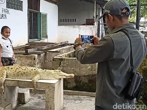 Deretan Wisata Kebun Binatang di Sumut Saat Libur Sekolah Deretan Wisata Kebun Binatang di Sumut Saat Libur Sekolah
