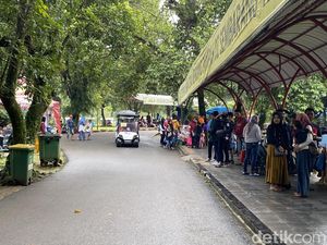 Hujan Tak Kurangi Minat Warga Jalan-jalan ke Ragunan Hujan Tak Kurangi Minat Warga Jalan-jalan ke Ragunan