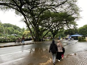 Hari Pertama Tahun Baru 2023, TM Ragunan Sepi Pengunjung Pagi Ini