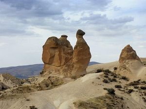 5 Batu Unik yang Mirip Hewan Raksasa, Nih Potretnya