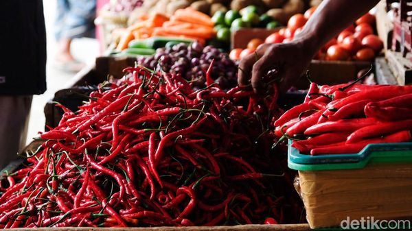 Awal 2023, Harga Cabai dkk di Jakarta Naik Nih Bun...