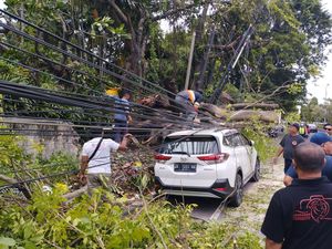 Cuaca Ekstrem, Pohon Tumbang Timpa Mobil di Bypass Ngurah Rai Denpasar Cuaca Ekstrem, Pohon Tumbang Timpa Mobil di Bypass Ngurah Rai Denpasar
