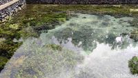 Cari Spot Terbaik Pura Tirta Empul? Lihatlah Kolam Sumber Airnya