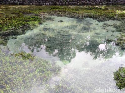 Cari Spot Terbaik Pura Tirta Empul? Lihatlah Kolam Sumber Airnya