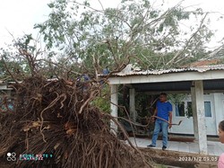 Bangsal dan Selasar RSUD Larantuka Rusak Tertimpa Pohon Beringin