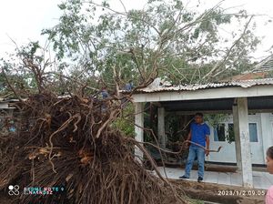 Bangsal dan Selasar RSUD Larantuka Rusak Tertimpa Pohon Beringin Bangsal dan Selasar RSUD Larantuka Rusak Tertimpa Pohon Beringin
