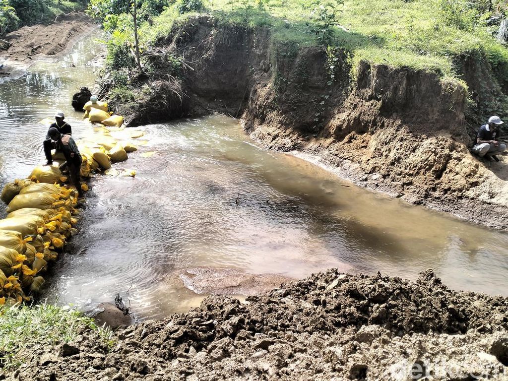Banjir Jebol Tanggul di Polman, 275 Hektare Sawah Terancam Kekeringan