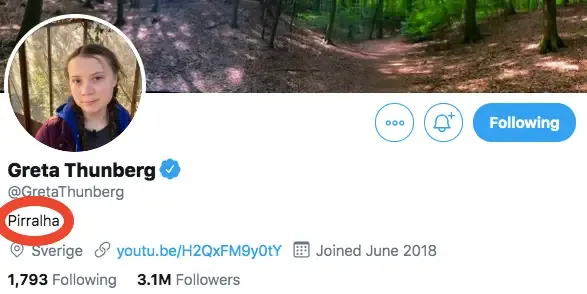 Twitter Greta Thunberg