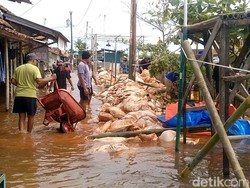 Banjir di Tirto Pekalongan Berangsur Surut Usai Tanggul Sungai Meduri Jebol